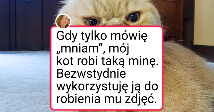 24 zdjęcia uroczych zwierzaków, które rozbawią was do łez