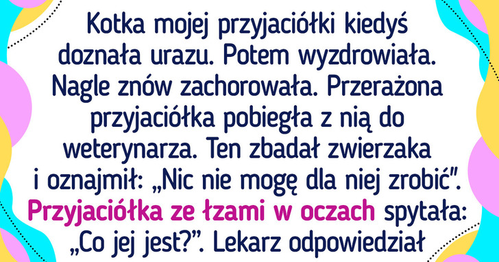16 zwierzaków, których psoty bawią nas do łez