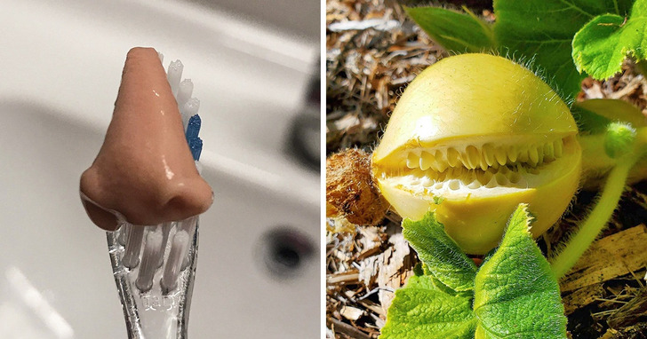 15 rzeczy, które są zupełnie czymś innym, niż mogłoby się wydawać