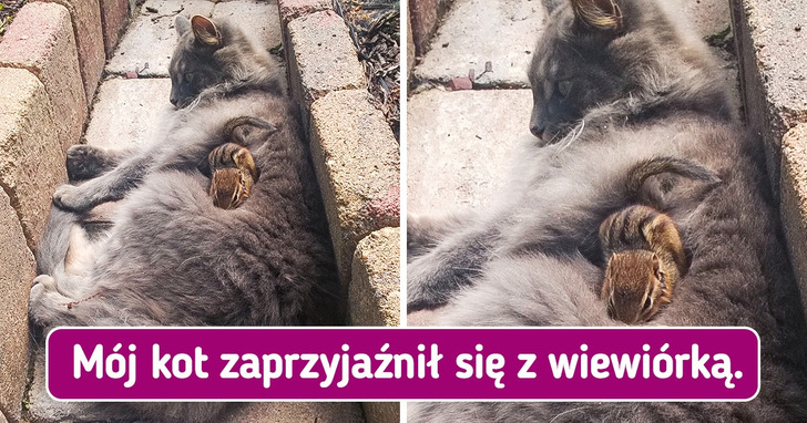 15 zdjęć, które są słodsze niż tort urodzinowy