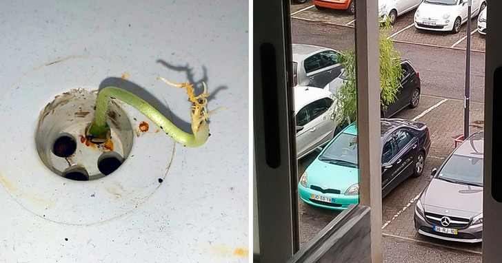 25 zdjęć, które pokazują, iż świat jest pełen niespodzianek