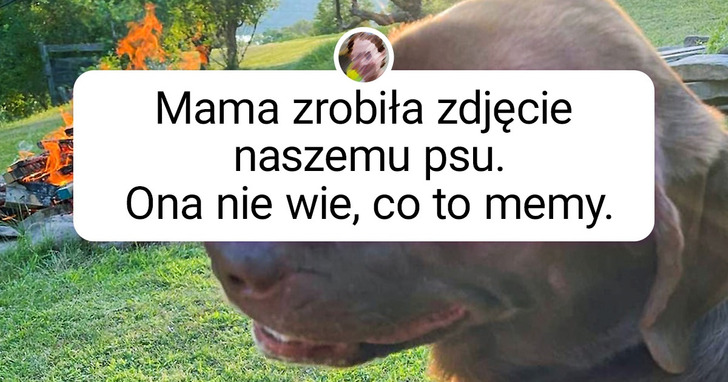 25 zdjęć na dowód, iż świat wciąż potrafi nas zaskoczyć