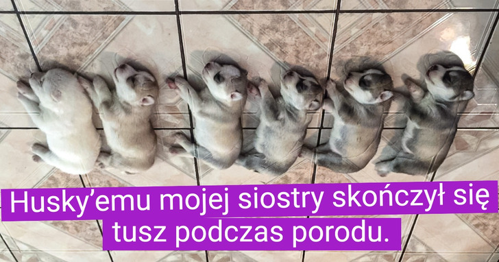 19 słodkich zdjęć, które nacieszą twoje oczy